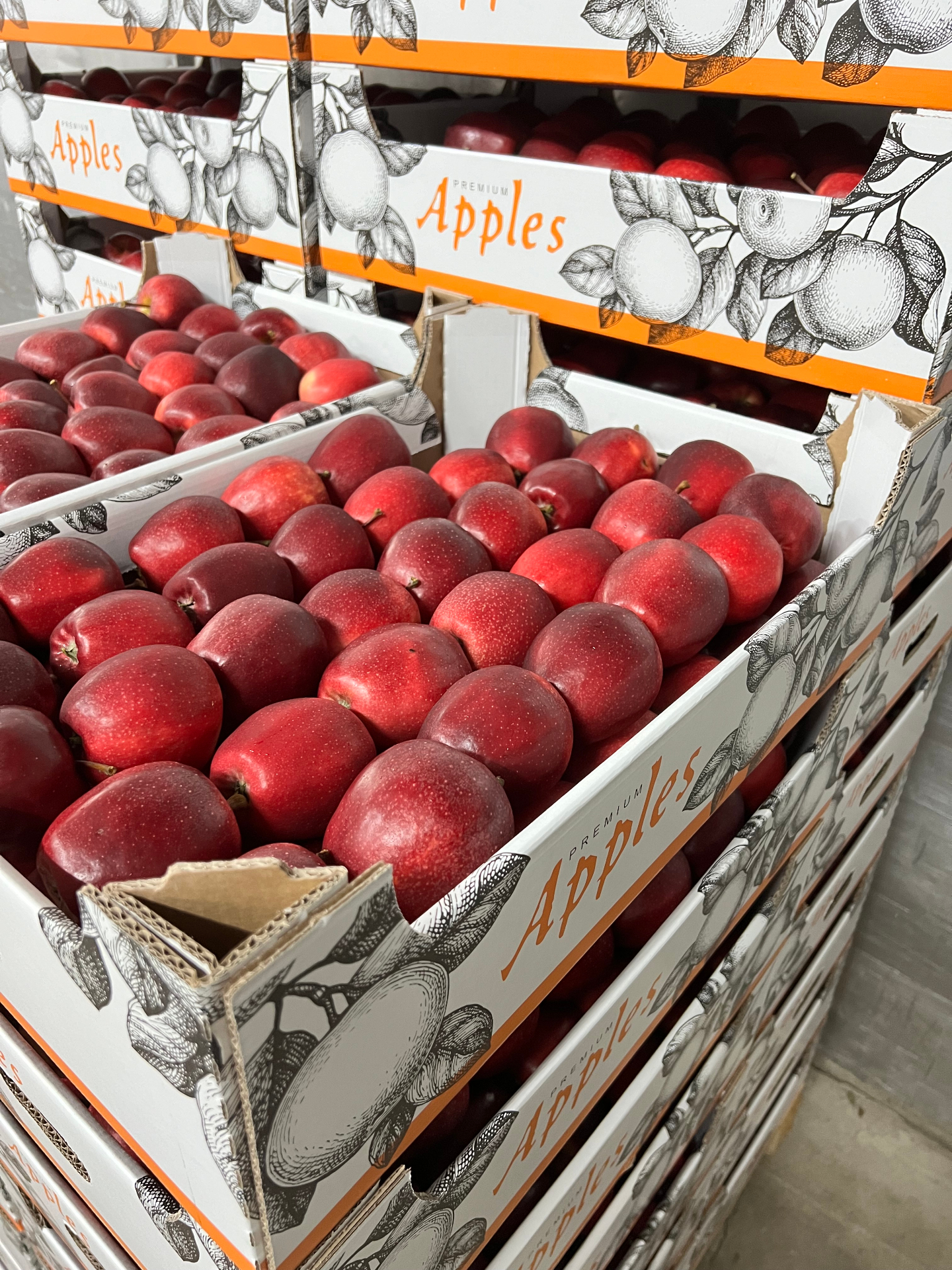 Red Delicious in 13 kg branded cartons