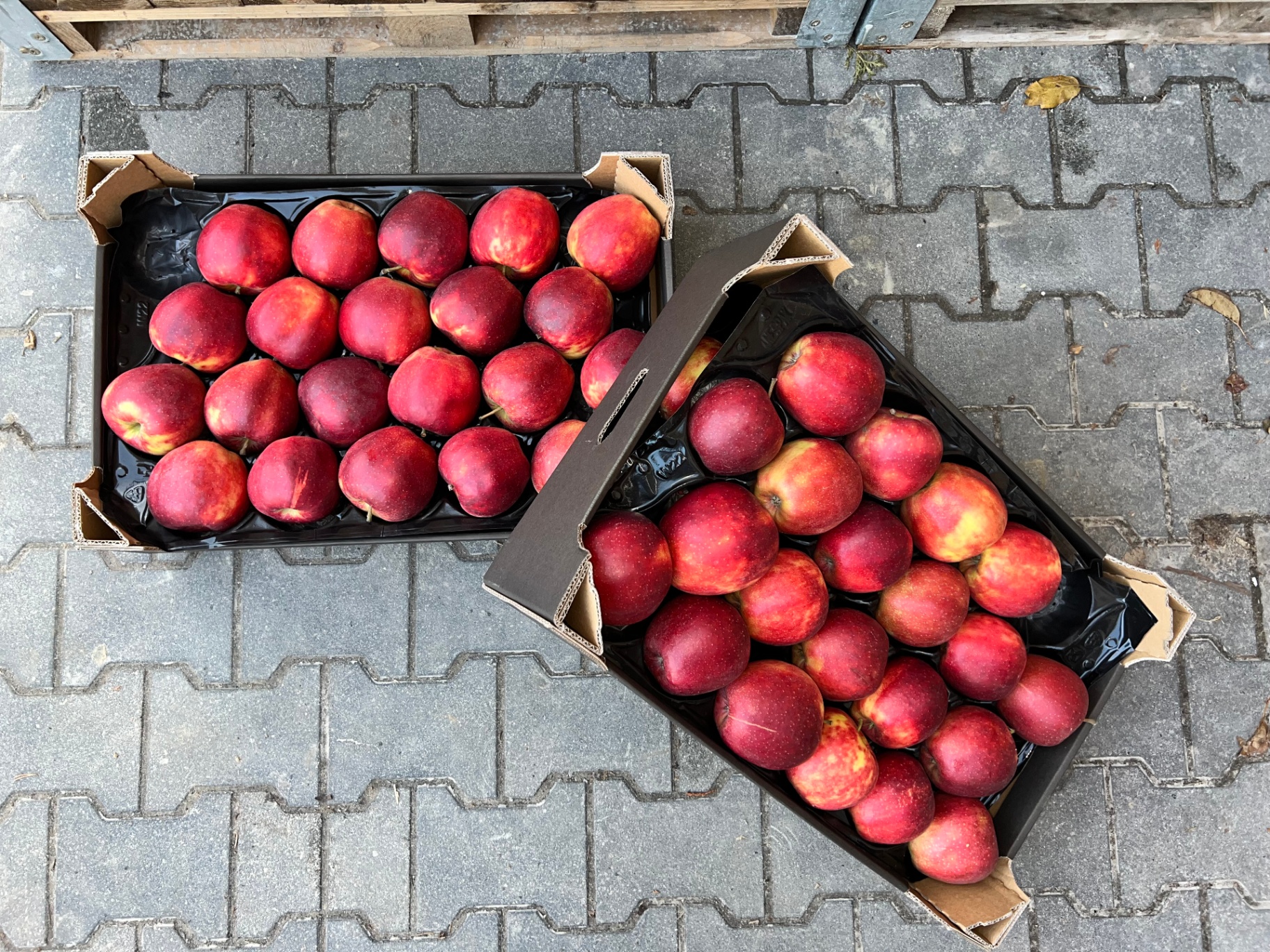 13 kg apple carton