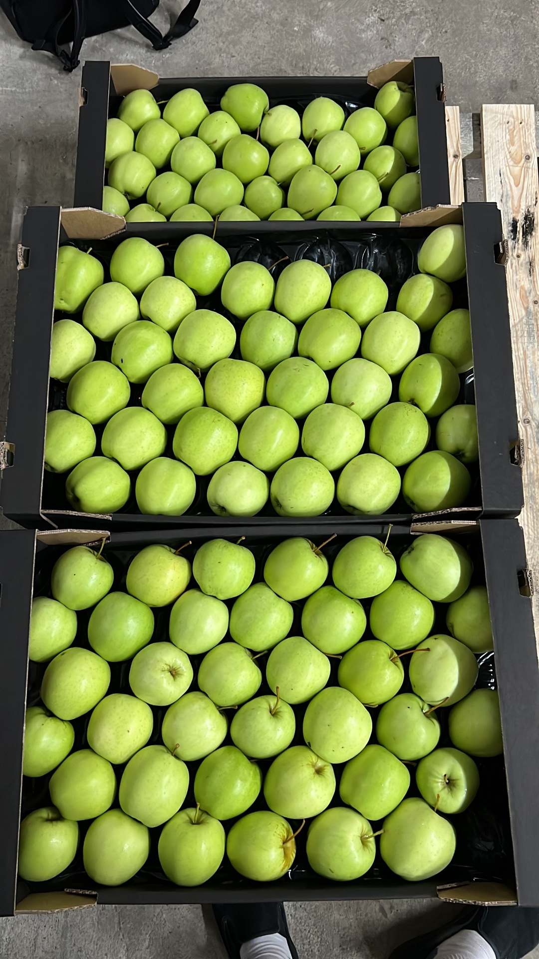 Golden Delicious in 6/7 kg trays