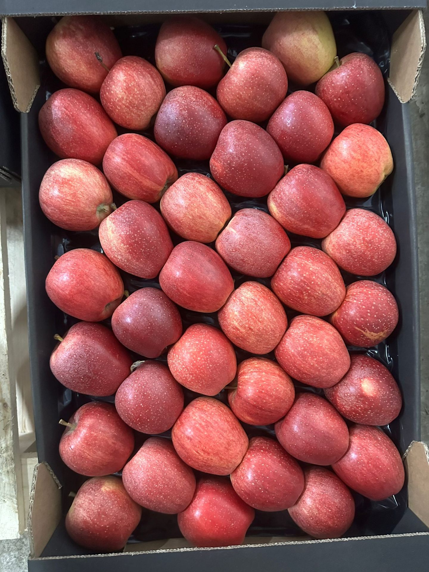6 / 7 kg apple carton