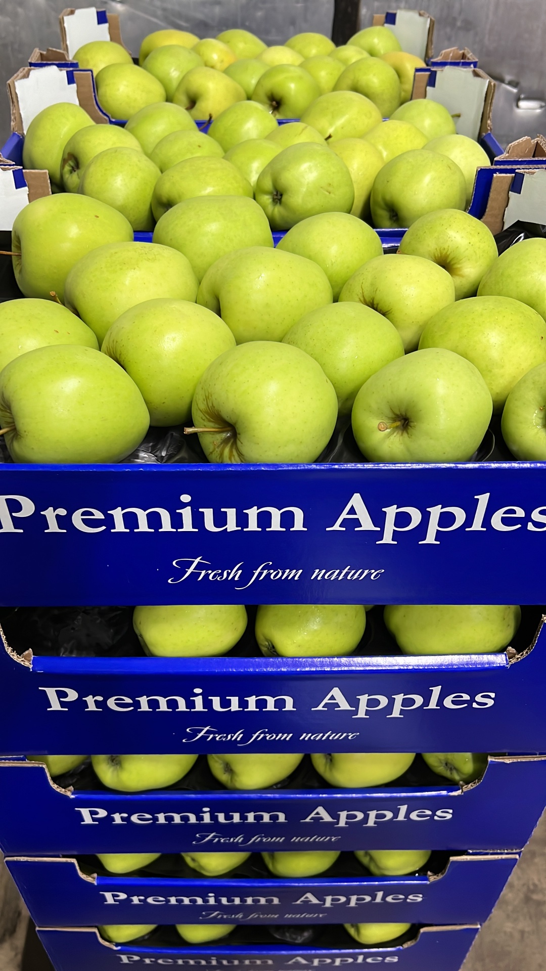 Golden Delicious 8 kg branded cartons stacked