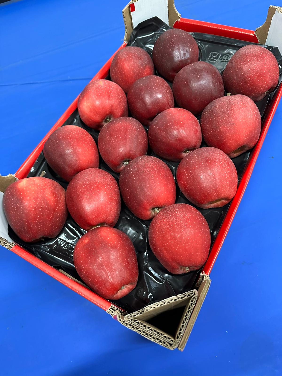 8 kg apple carton