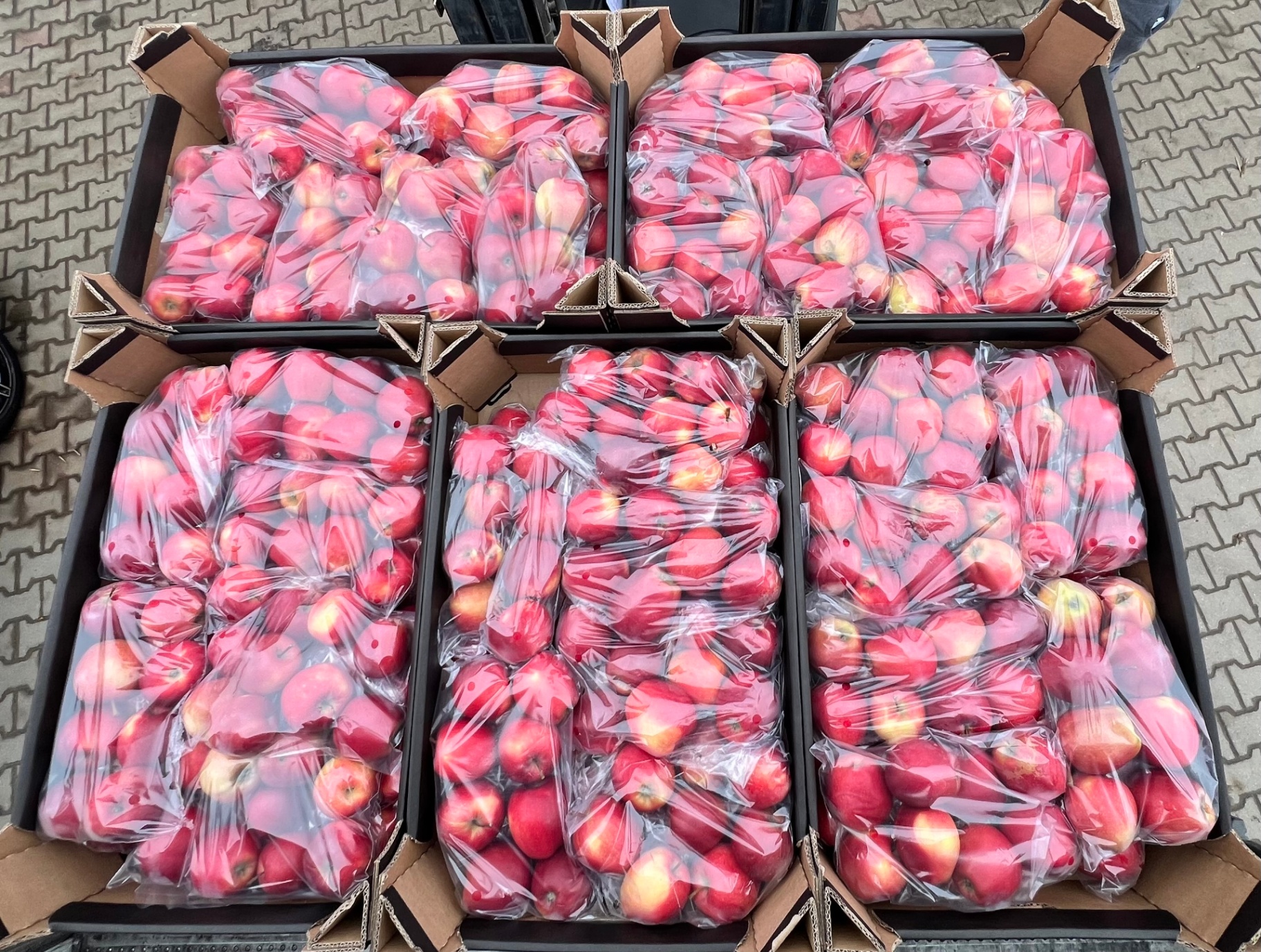 Retail-ready bags & punnets